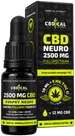 NEURO